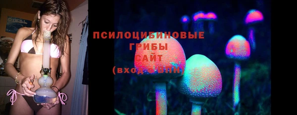 сатива Алексеевка