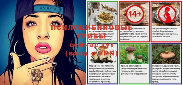 мет Абаза