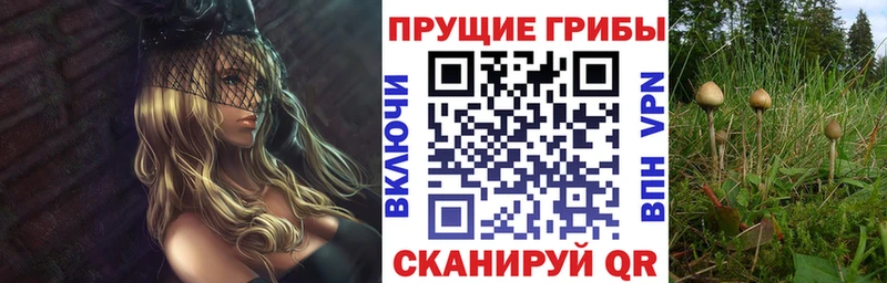 Галлюциногенные грибы MAGIC MUSHROOMS  купить наркоту  Кумертау 