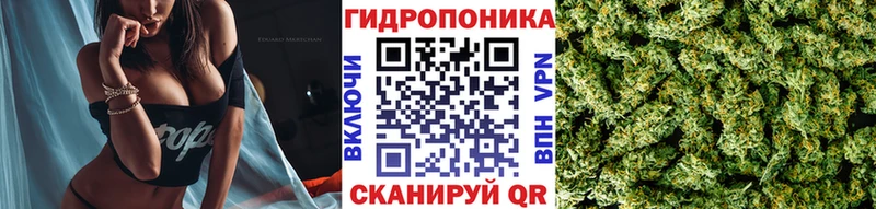 дарк нет официальный сайт  Кумертау  Канабис семена 